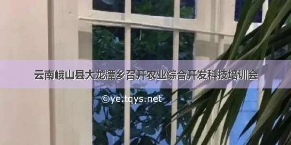 云南峨山县大龙潭乡召开农业综合开发科技培训会