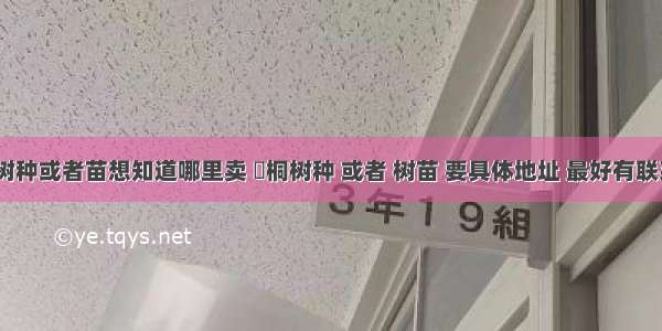 【求栱桐树种或者苗想知道哪里卖 栱桐树种 或者 树苗 要具体地址 最好有联系方式 急】