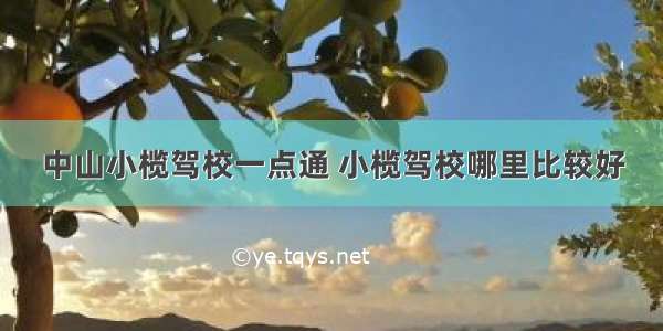 中山小榄驾校一点通 小榄驾校哪里比较好