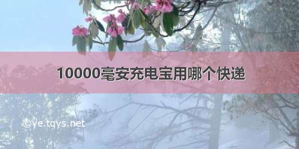 10000毫安充电宝用哪个快递