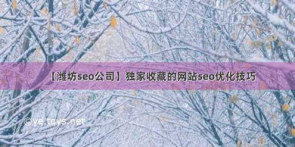 【潍坊seo公司】独家收藏的网站seo优化技巧