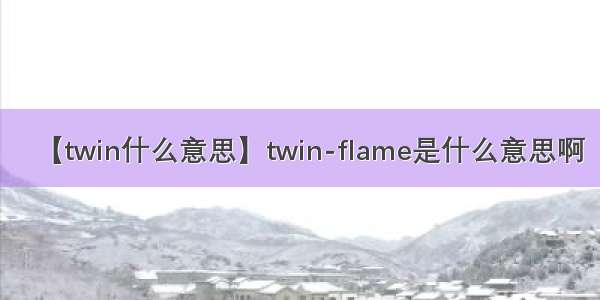 【twin什么意思】twin-flame是什么意思啊