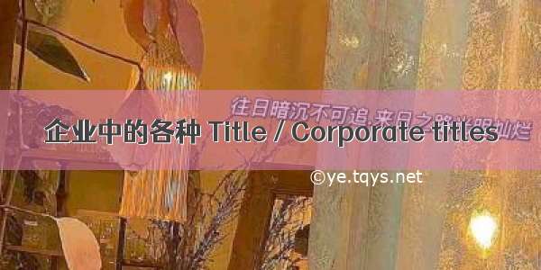 企业中的各种 Title / Corporate titles