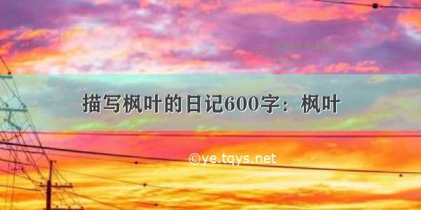 描写枫叶的日记600字：枫叶