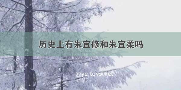 历史上有朱宜修和朱宜柔吗