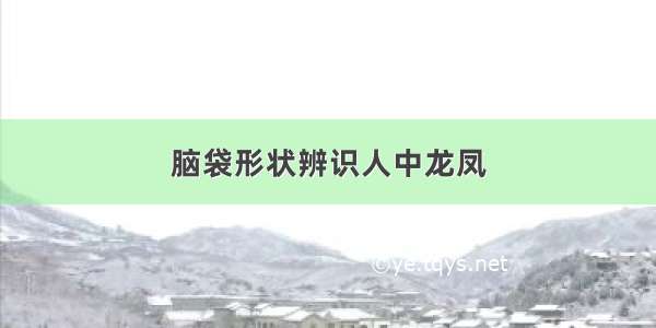 脑袋形状辨识人中龙凤