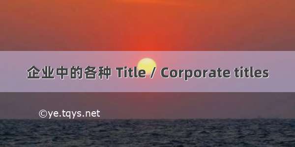 企业中的各种 Title / Corporate titles