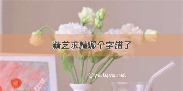 精艺求精哪个字错了