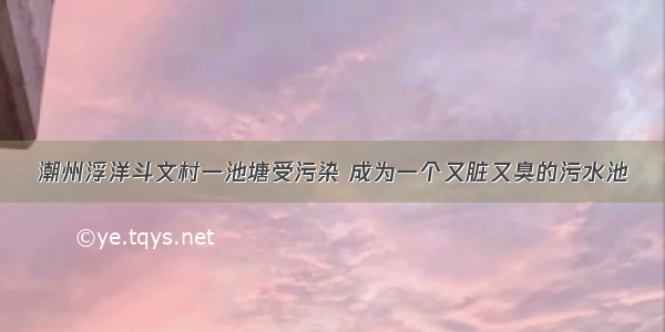 潮州浮洋斗文村一池塘受污染 成为一个又脏又臭的污水池