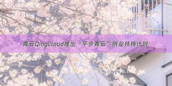 青云QingCloud推出“平步青云”创业扶持计划