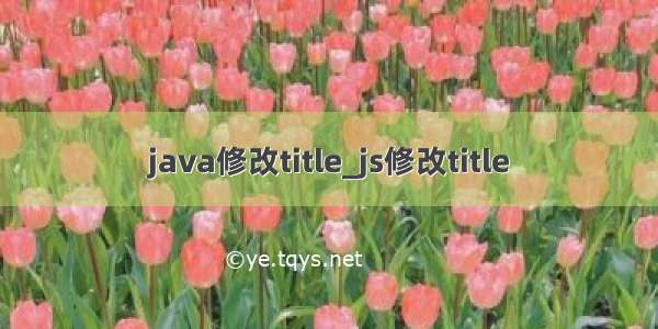 java修改title_js修改title