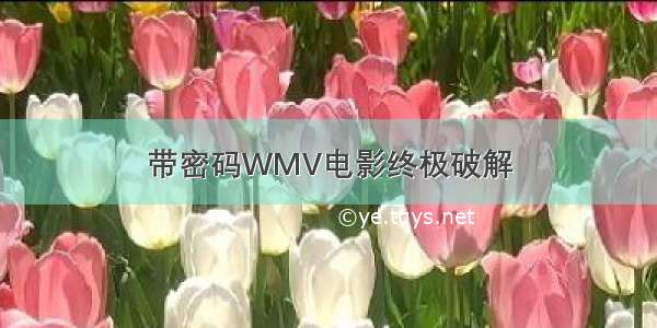 带密码WMV电影终极破解