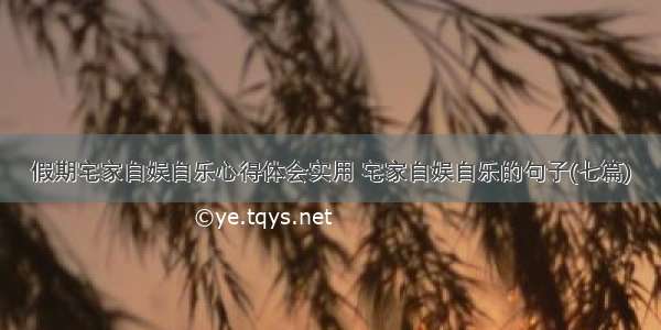 假期宅家自娱自乐心得体会实用 宅家自娱自乐的句子(七篇)