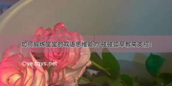 如何锻炼宝宝的双语思维能力 碰碰狐早教来支招！