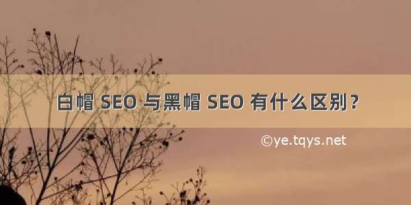 白帽 SEO 与黑帽 SEO 有什么区别？