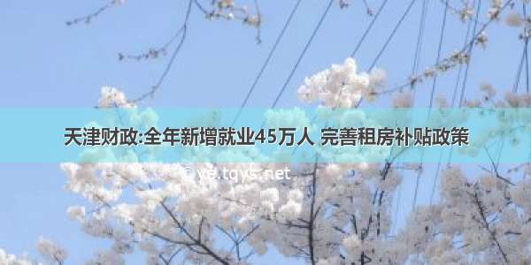 天津财政:全年新增就业45万人 完善租房补贴政策