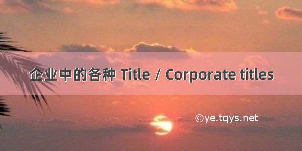 企业中的各种 Title / Corporate titles