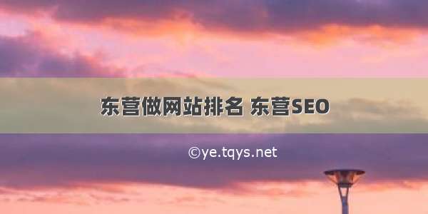 东营做网站排名 东营SEO