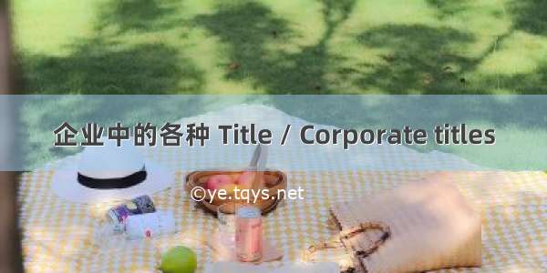 企业中的各种 Title / Corporate titles