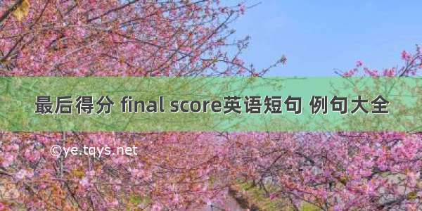 最后得分 final score英语短句 例句大全