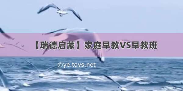 【瑞德启蒙】家庭早教VS早教班