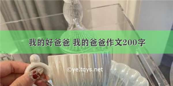 我的好爸爸 我的爸爸作文200字