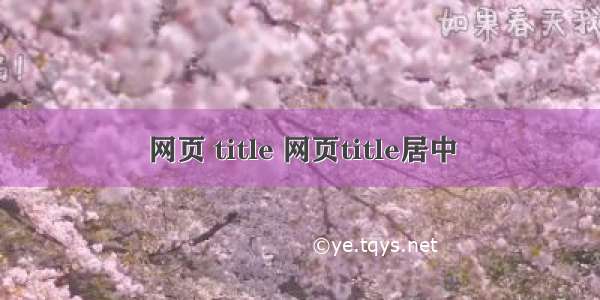 网页 title 网页title居中