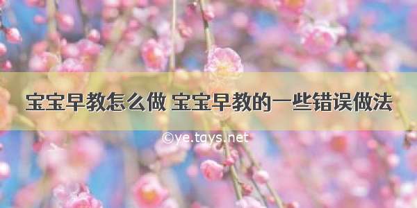 宝宝早教怎么做 宝宝早教的一些错误做法