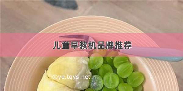 儿童早教机品牌推荐