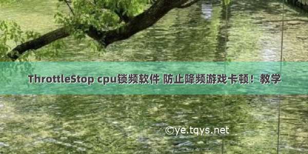 ThrottleStop cpu锁频软件 防止降频游戏卡顿！教学