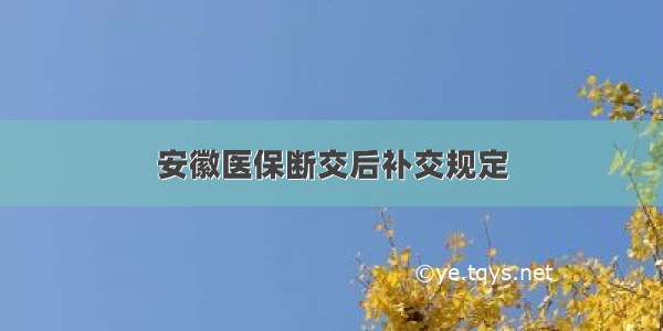 安徽医保断交后补交规定