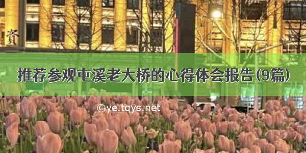 推荐参观屯溪老大桥的心得体会报告(9篇)