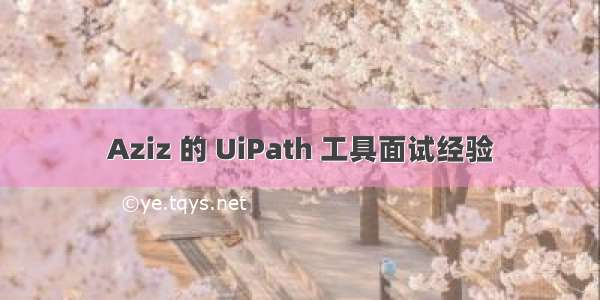 Aziz 的 UiPath 工具面试经验