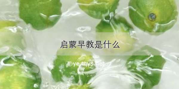 启蒙早教是什么