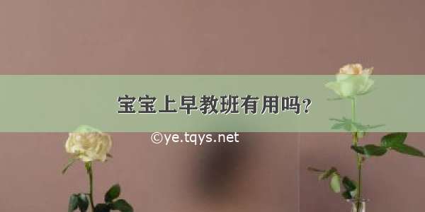 宝宝上早教班有用吗？