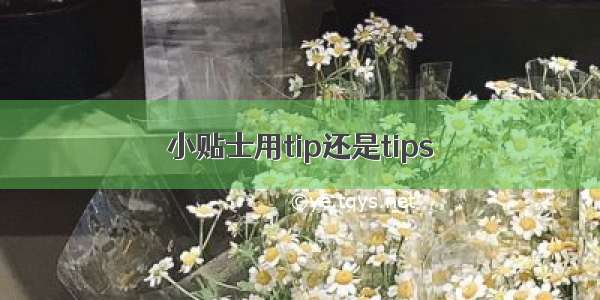 小贴士用tip还是tips