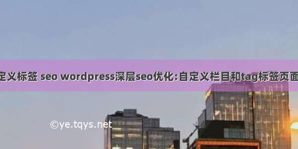 html 自定义标签 seo wordpress深层seo优化:自定义栏目和tag标签页面title标题