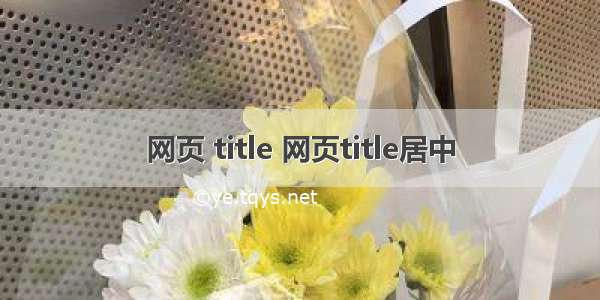 网页 title 网页title居中