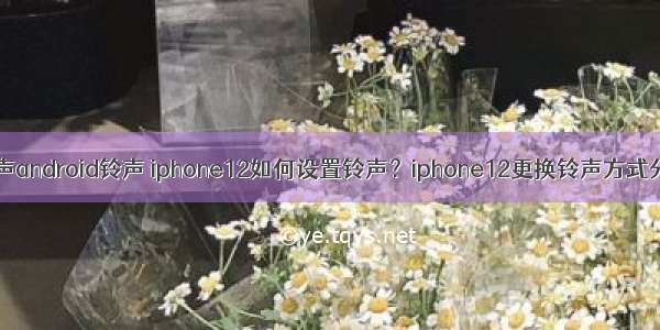 iphone铃声android铃声 iphone12如何设置铃声？iphone12更换铃声方式分享[多图]