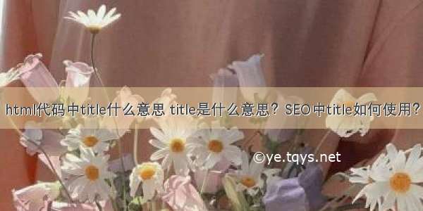 html代码中title什么意思 title是什么意思？SEO中title如何使用？