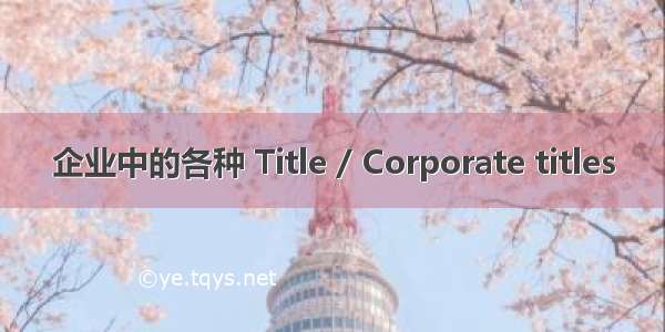 企业中的各种 Title / Corporate titles