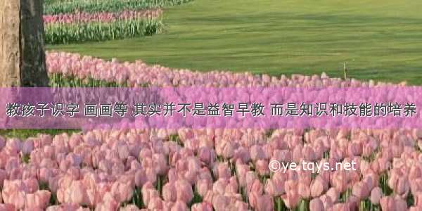 教孩子识字 画画等 其实并不是益智早教 而是知识和技能的培养