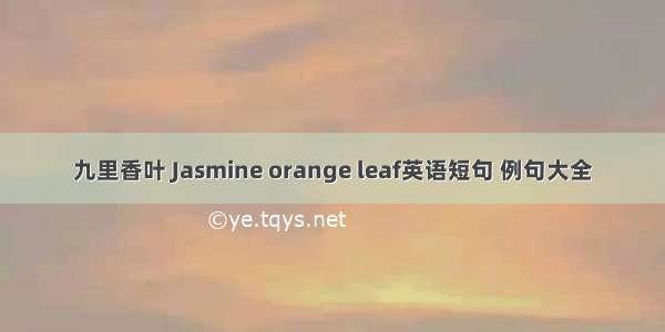 九里香叶 Jasmine orange leaf英语短句 例句大全