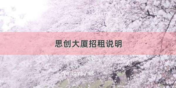 思创大厦招租说明