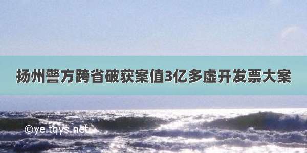 扬州警方跨省破获案值3亿多虚开发票大案