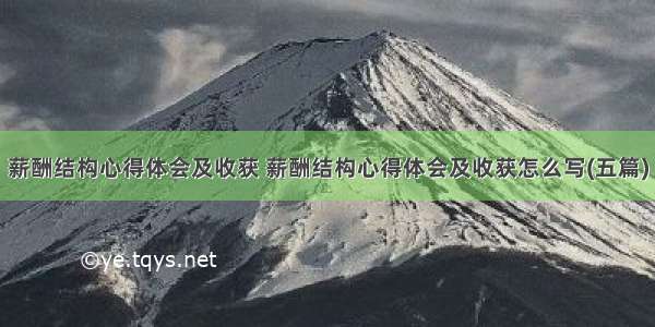 薪酬结构心得体会及收获 薪酬结构心得体会及收获怎么写(五篇)