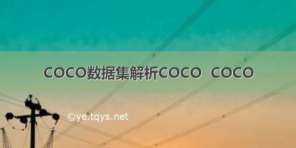 COCO数据集解析COCO  COCO