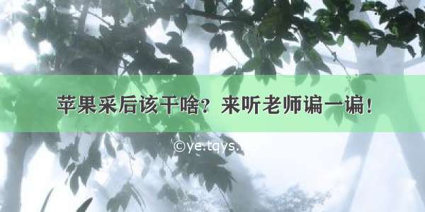 苹果采后该干啥？来听老师谝一谝！