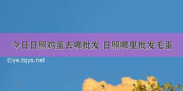 今日日照鸡蛋去哪批发 日照哪里批发毛蛋