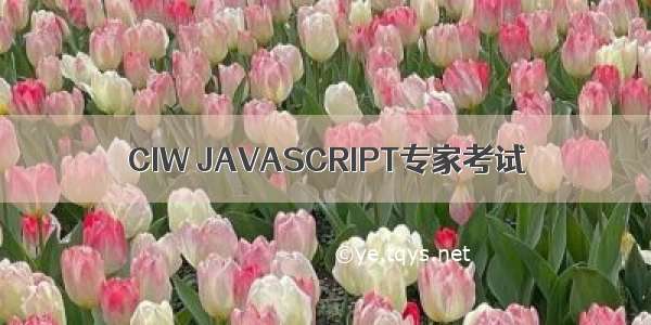 CIW JAVASCRIPT专家考试